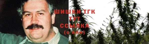 индика Кинешма