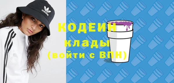 индика Кинешма
