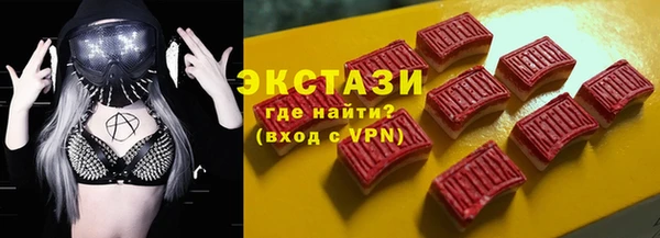 индика Кинешма