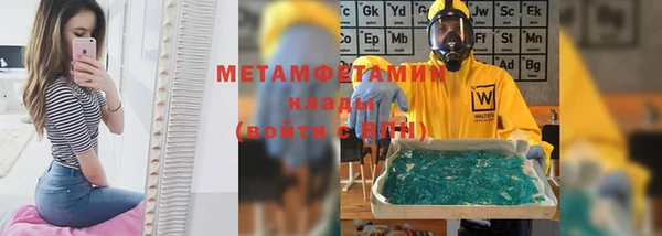 индика Кинешма