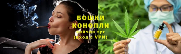 мдпв Киреевск