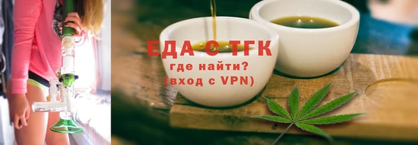 индика Кинешма