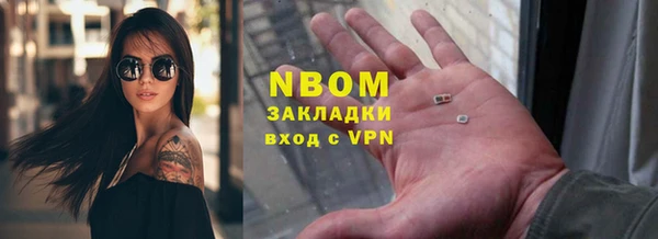 индика Кинешма