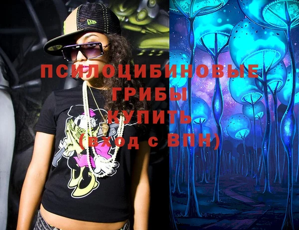 индика Кинешма