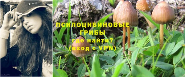 индика Кинешма