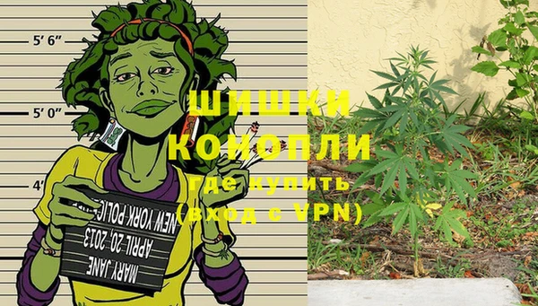 мдпв Киреевск