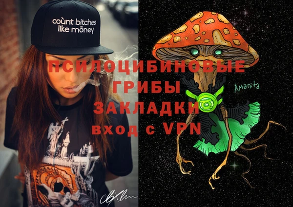 мдпв Киреевск
