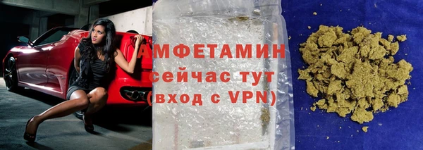 индика Кинешма