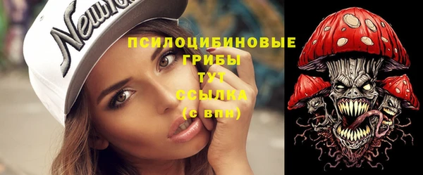 индика Кинешма