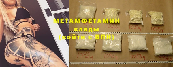 индика Кинешма