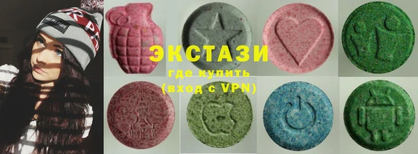 индика Кинешма