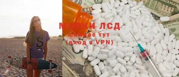 индика Кинешма