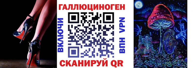 Купить  Гай  Псилоцибиновые грибы Psilocybine cubensis 